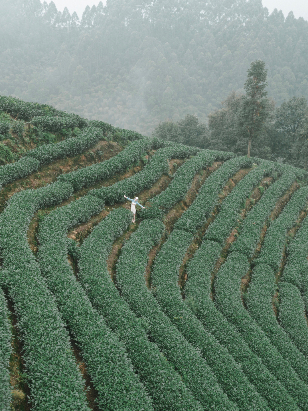成都近郊一个小众禅意古镇,成都茶山古镇图片
