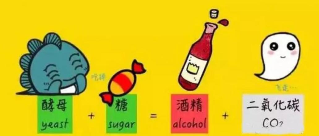 打破红酒玄学，用国人易懂的方式聊红酒篇一起源