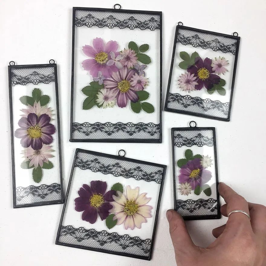 快来抄作业！她用3年时间，把植物标本做成了艺术品