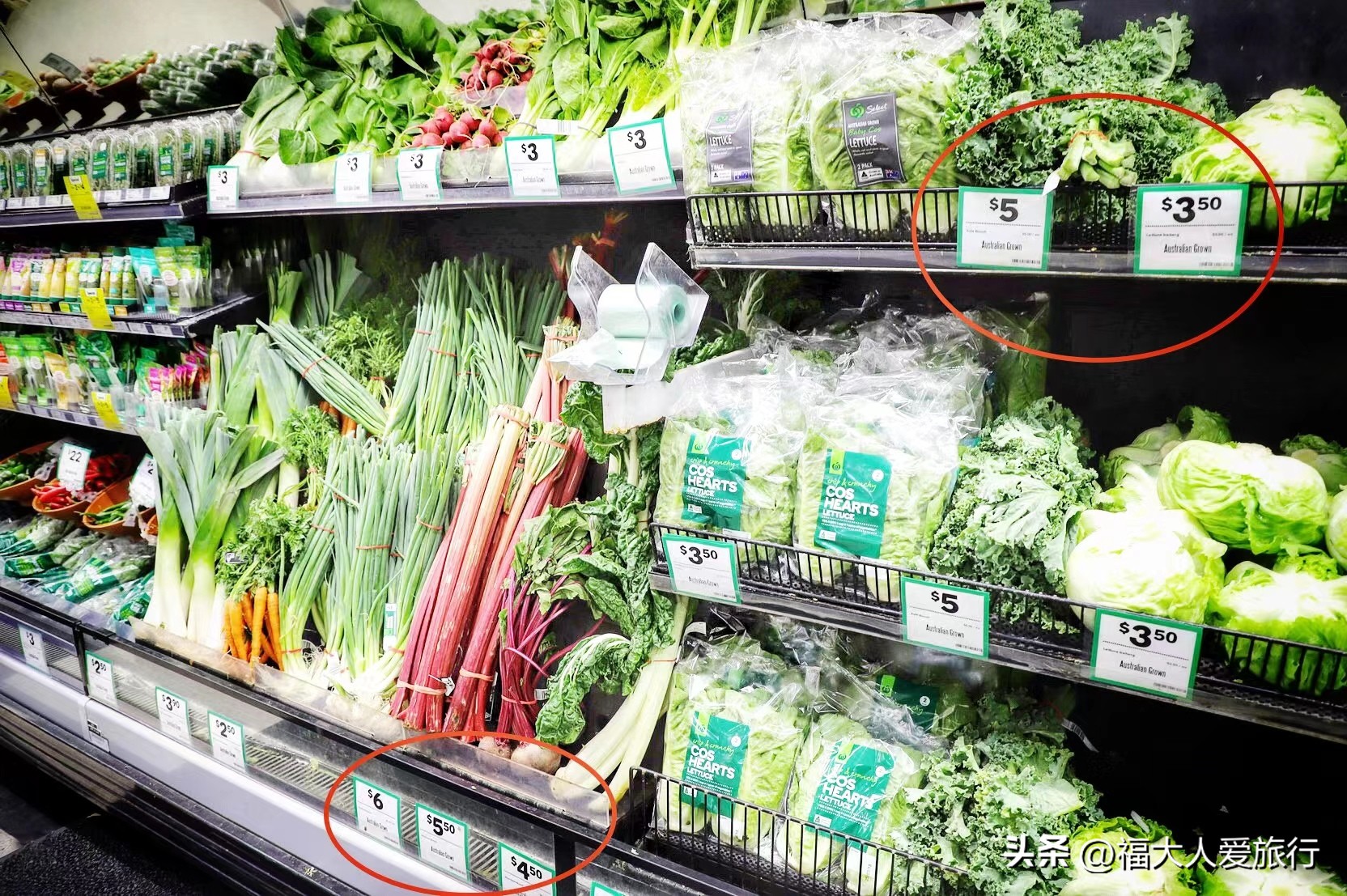 牛奶比水还便宜的国家,澳大利亚牛奶比水还便宜