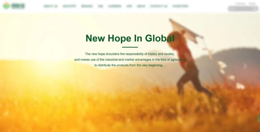 如何帮助企业走进海外市场,如何通过营销开拓海外市场