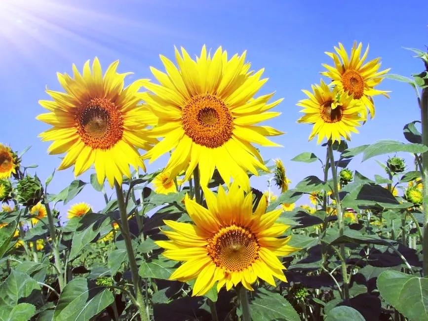 开卷有益掩卷有味是什么意思,开卷有益掩卷有味