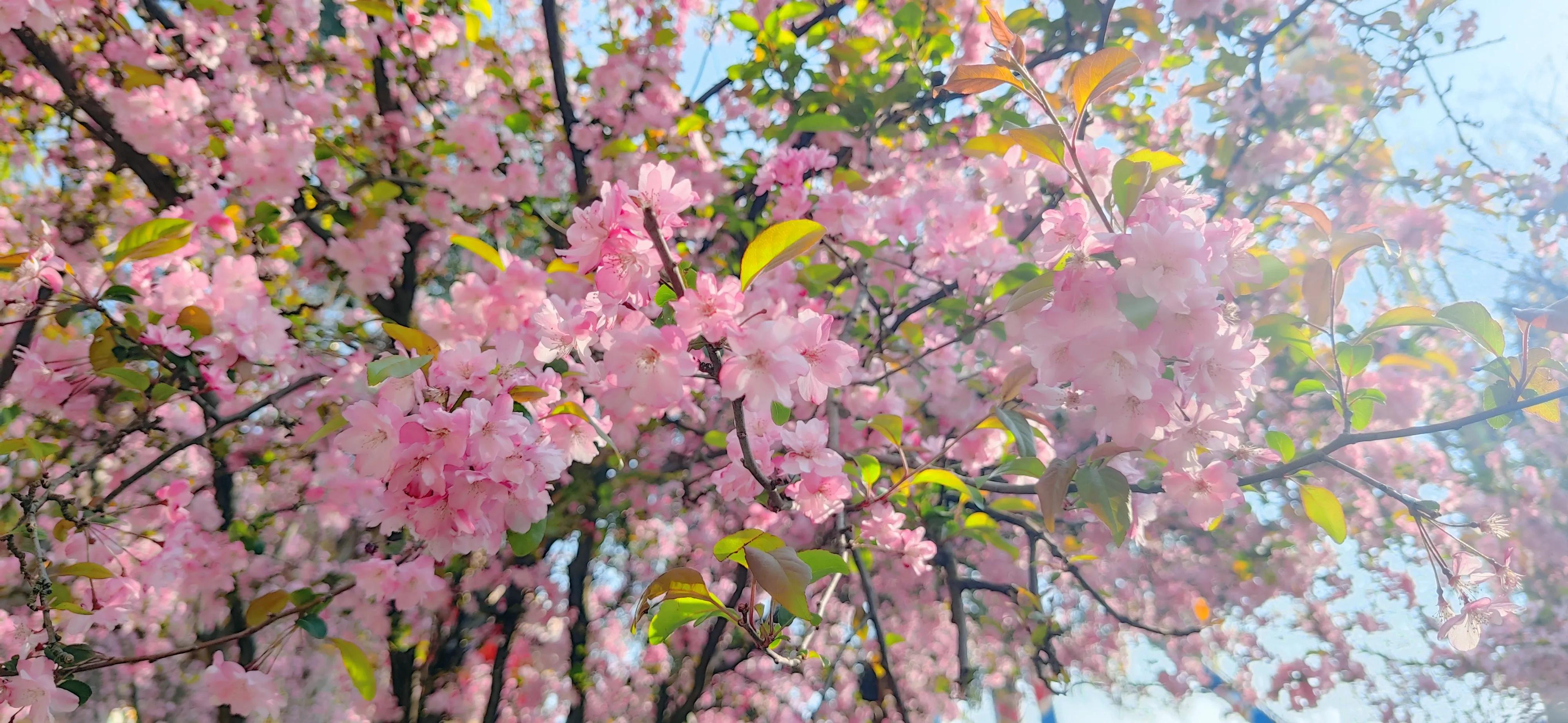 云南旅游攻略天气,云南旅游攻略6天5晚买一送一