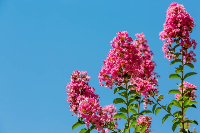 工作仅仅是工作而已没必要内耗,工作已经挺累了就不要互相内耗