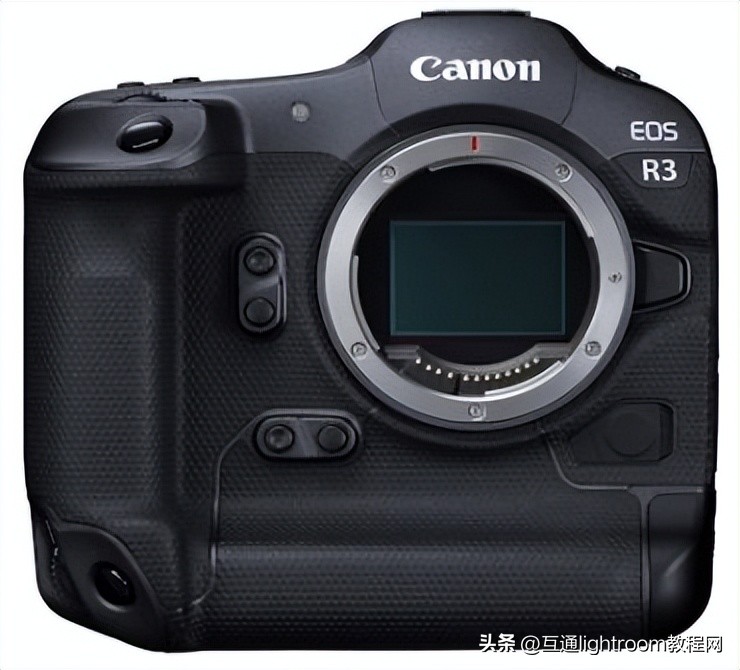 大变焦数码相机拍摄鸟类,最佳风光摄影相机推荐