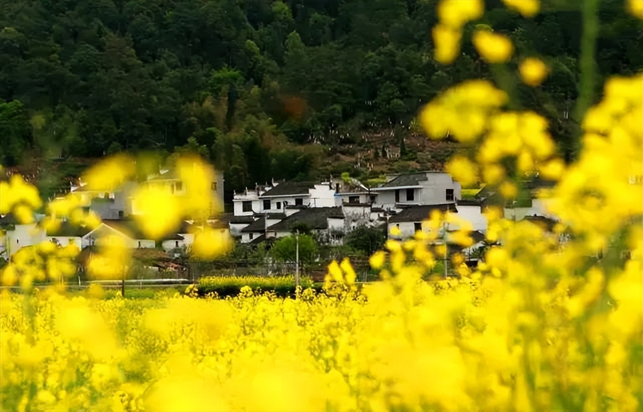 30个最美小城你去过哪几个了,10个国内此生必去的美丽小城