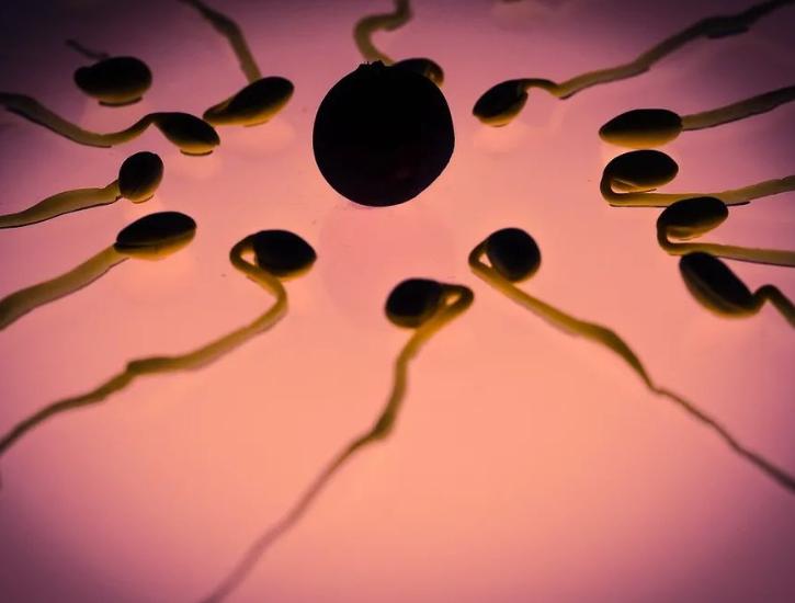 男性长期禁欲，精子只产不排，最后会怎样？医生：恐难逃3大结局