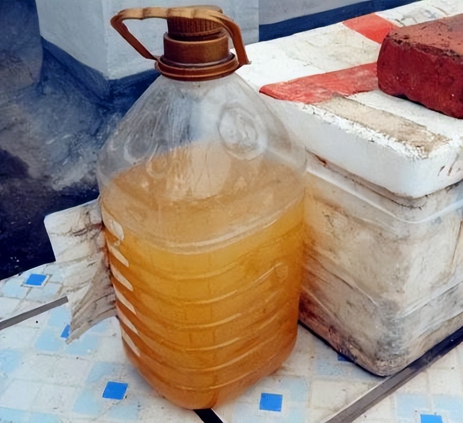 给绿萝、文竹、吊兰倒下3种“酸水”，叶片绿油油，养多少都爆