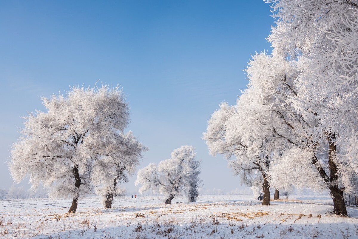 吉林市一日游游玩攻略带孩子,吉林市情侣游玩地方推荐