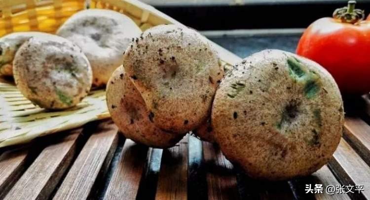 一碗正宗的蕈油面等你来品尝,全上海难觅的蕈油面