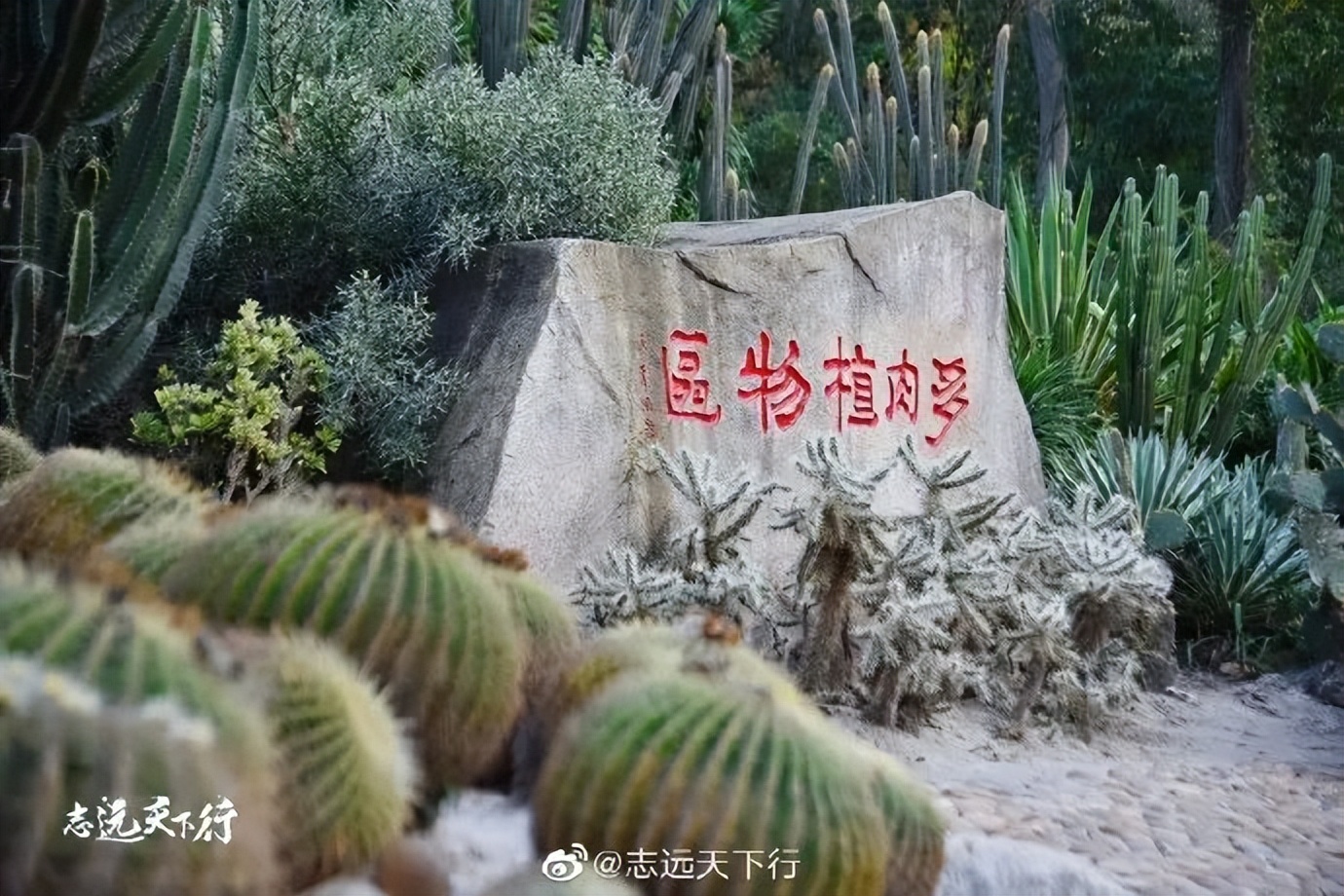 【闽山闽水物华新】又挖到宝藏旅游线路了！这份厦门两天一夜游玩攻略你一定要收藏！