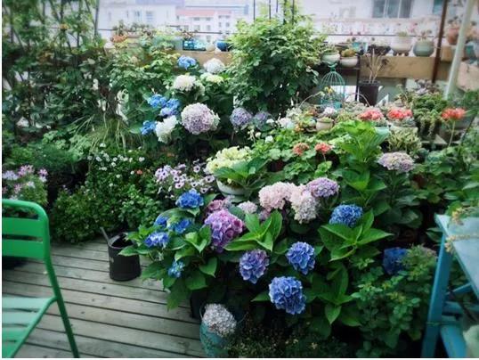 90后将天台改造成空中花园,90后姑娘回家改造楼顶花园