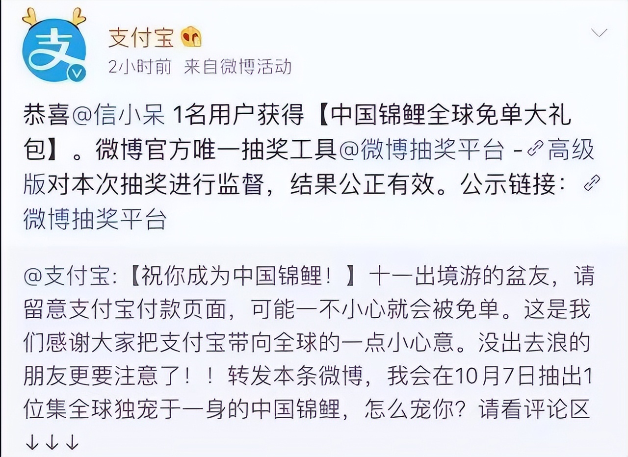 支付宝1亿锦鲤女孩现状,支付宝锦鲤大奖后续