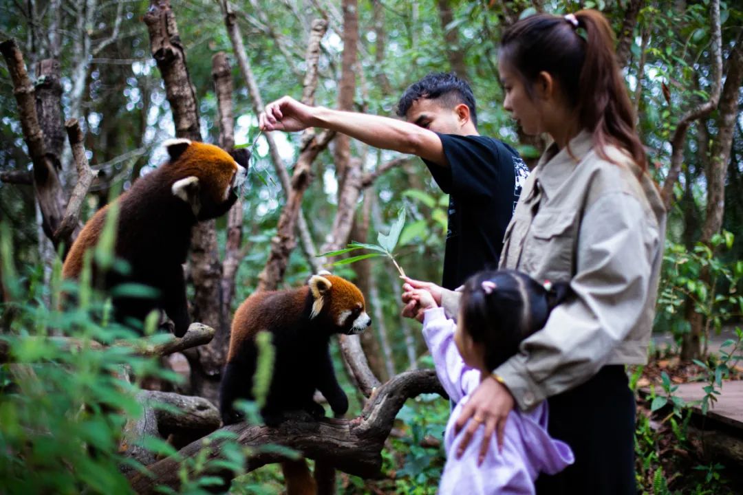 有一种生活叫做云南的生活,有一种叫云南的生活原文