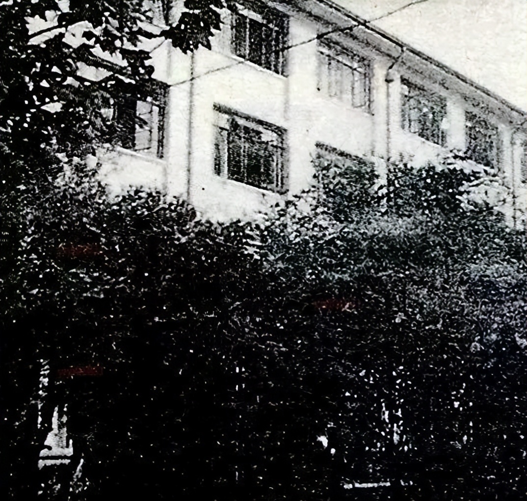 许昌市第九至第二十中学演变：母校，你去哪了？