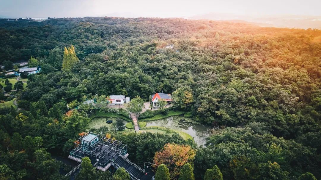 宫崎骏真的退休了吗,宫崎骏退休