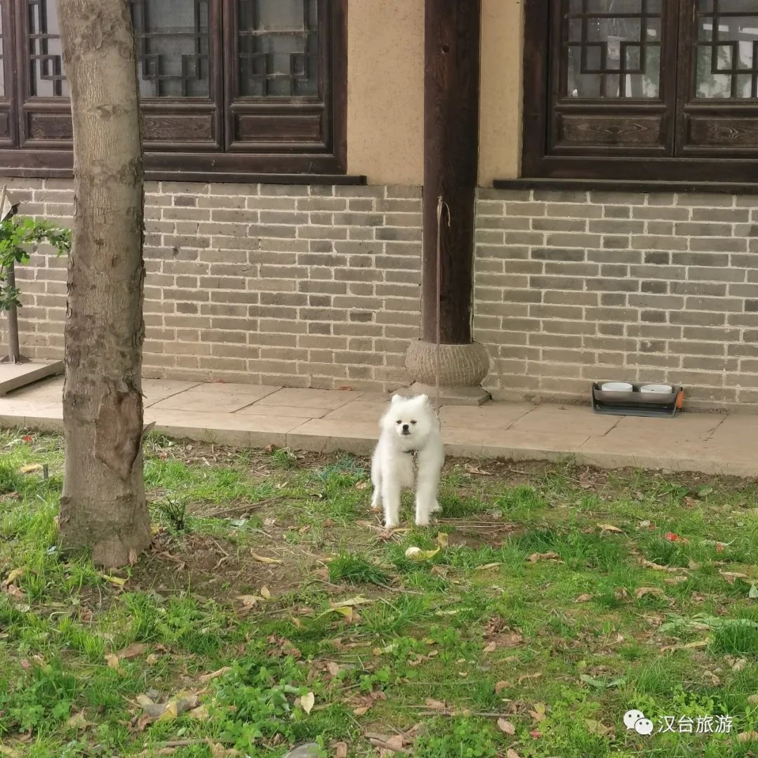 汉中打卡路线,打卡汉中