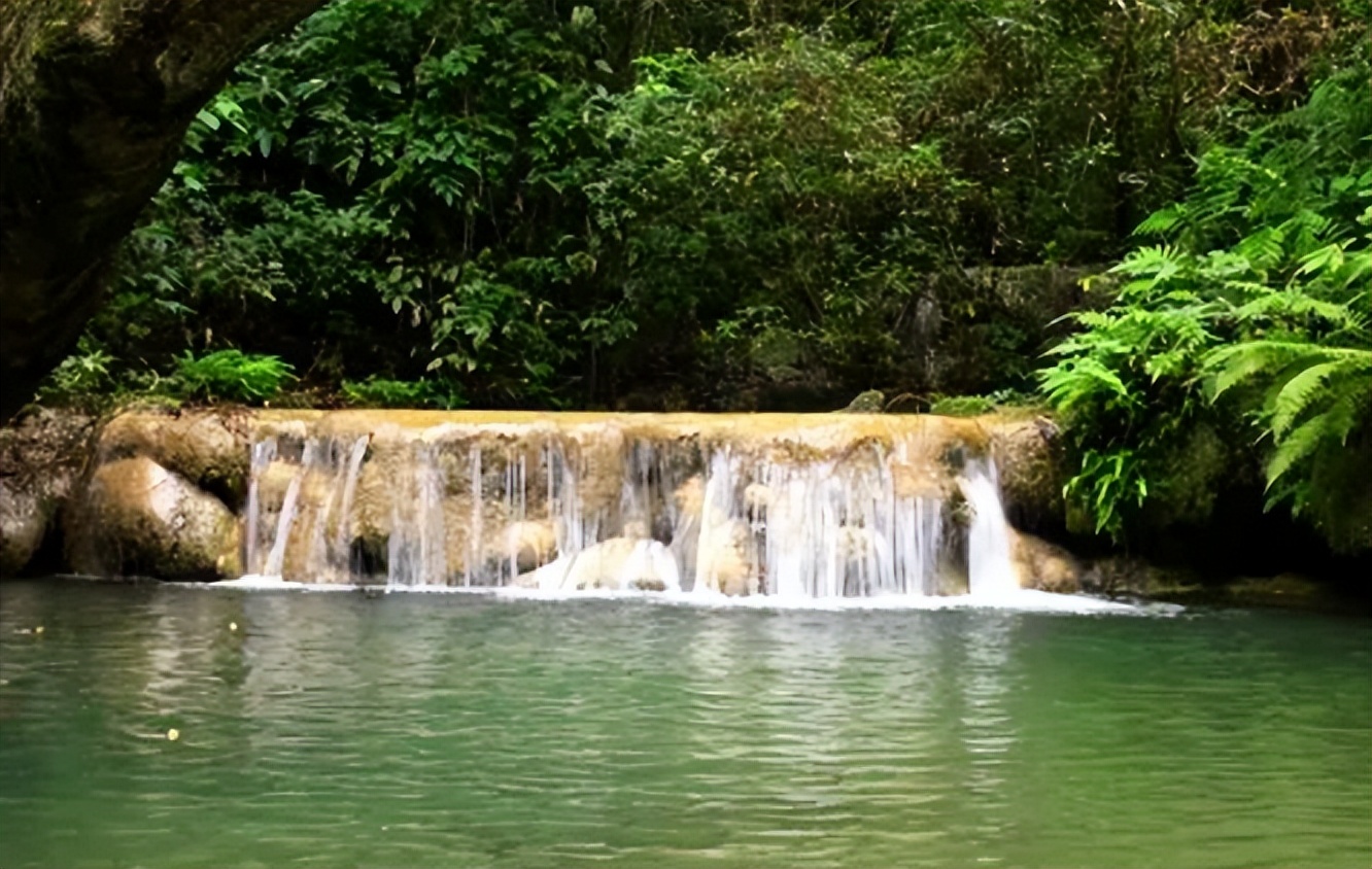不是鱼难钓而是你太倔强,怎样做鱼窝料才能钓到鱼