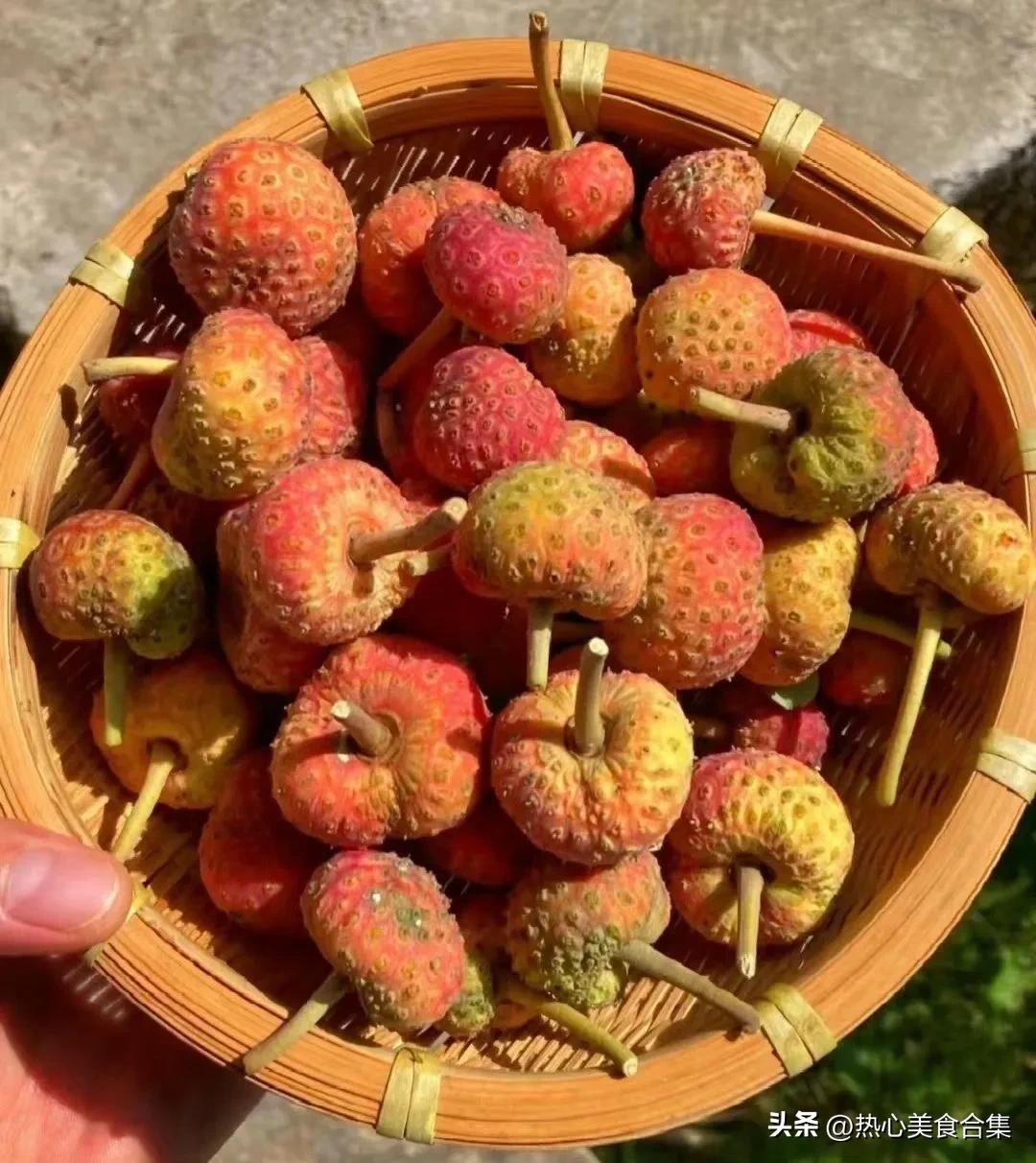 奇葩水果开箱合集,这些奇葩水果你见过吗