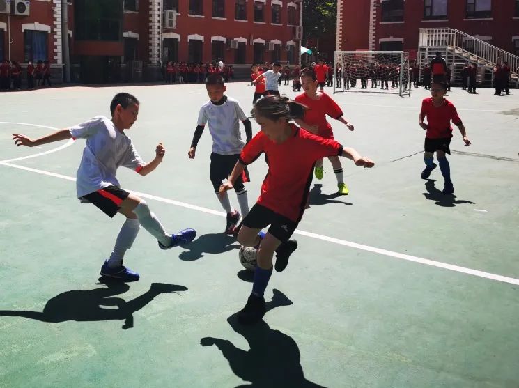 五育并举逐梦巅峰再创辉煌,五育并举缤纷绽放