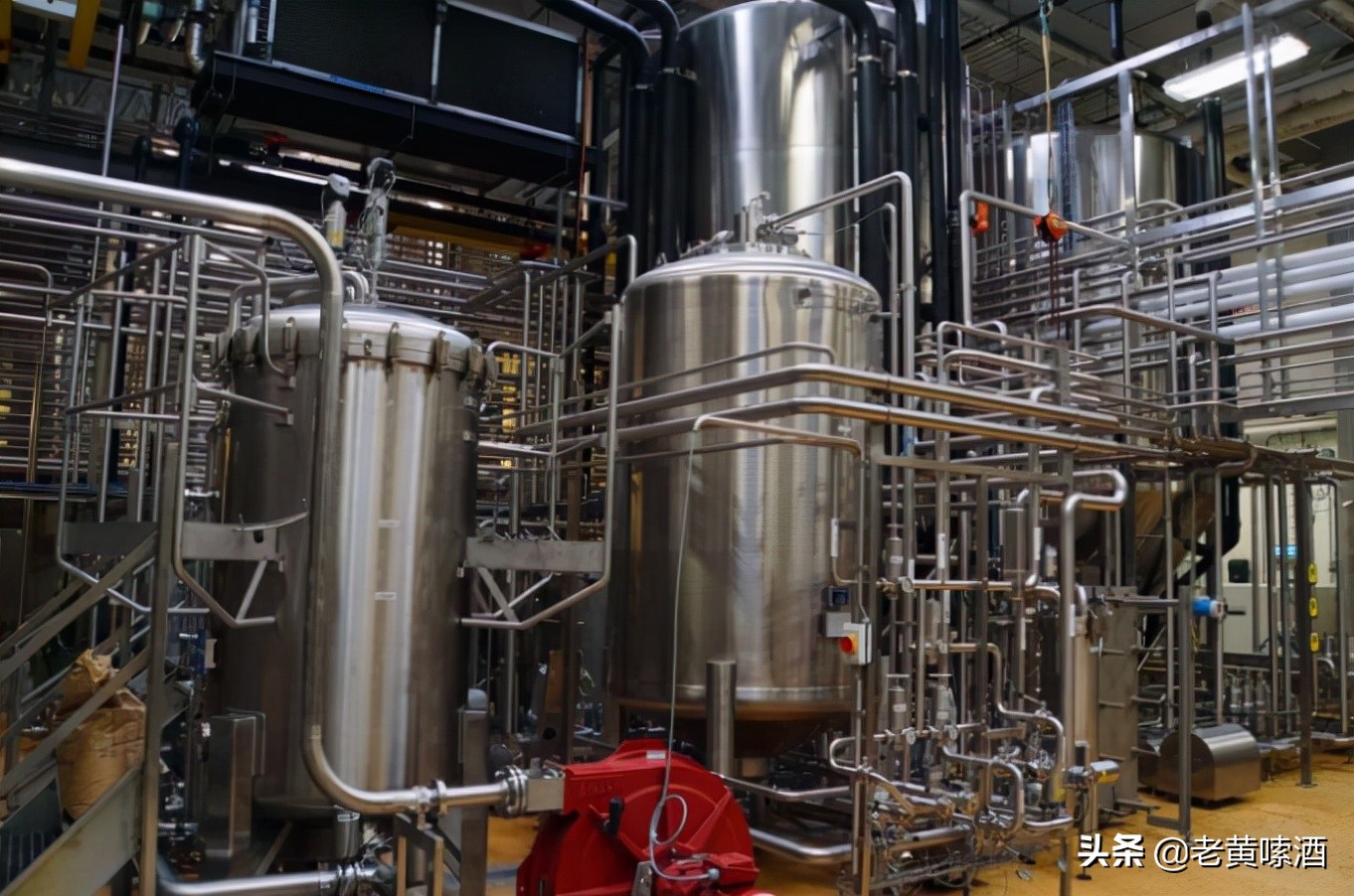 精酿啤酒就是最好的?很多人都搞错了!听听内行人怎么说