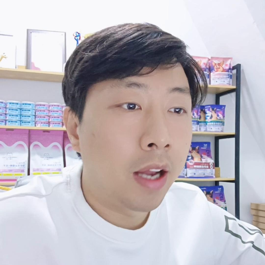 宠物店宠物美容,去学宠物美容要什么学历