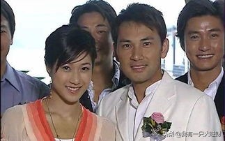 法证先锋1古泽琛和汀汀结婚,法证先锋古泽琛和汀汀