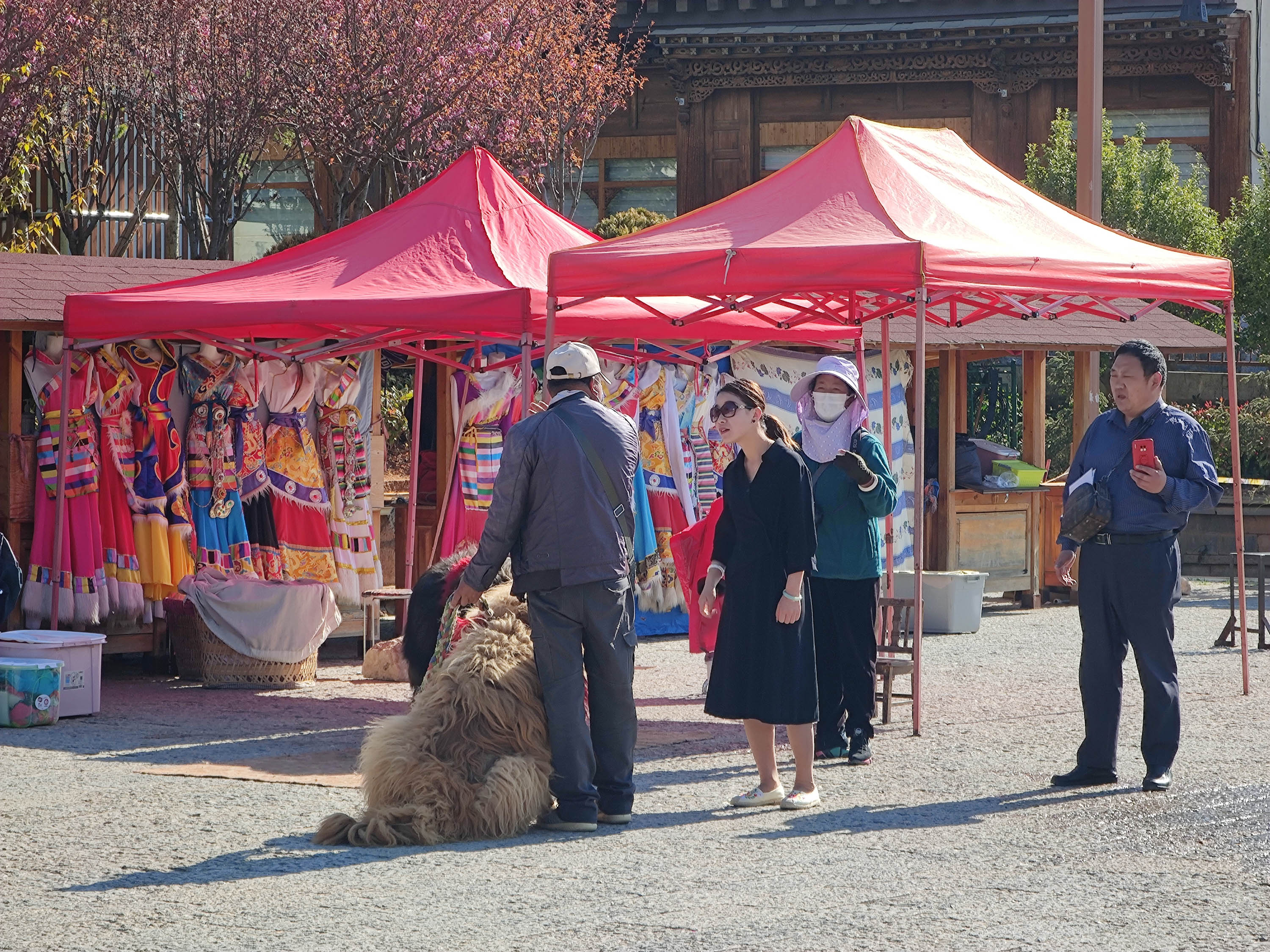 去云南跟团一日游攻略图片大全集,云南六日游跟团路线攻略大全