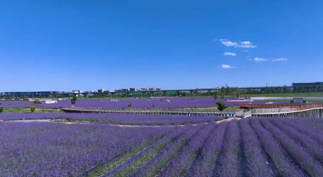 未来10年的兰州新区,兰州新区规划的八大板块