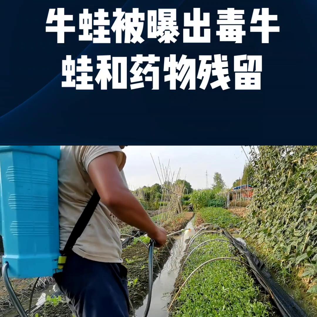 水产养殖创业,海南水产养殖创业项目申报