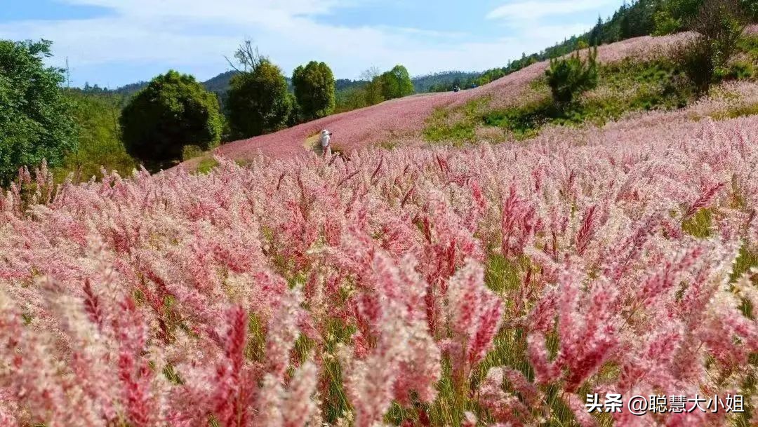 昆明旁边的小城，有山有湖好舒服