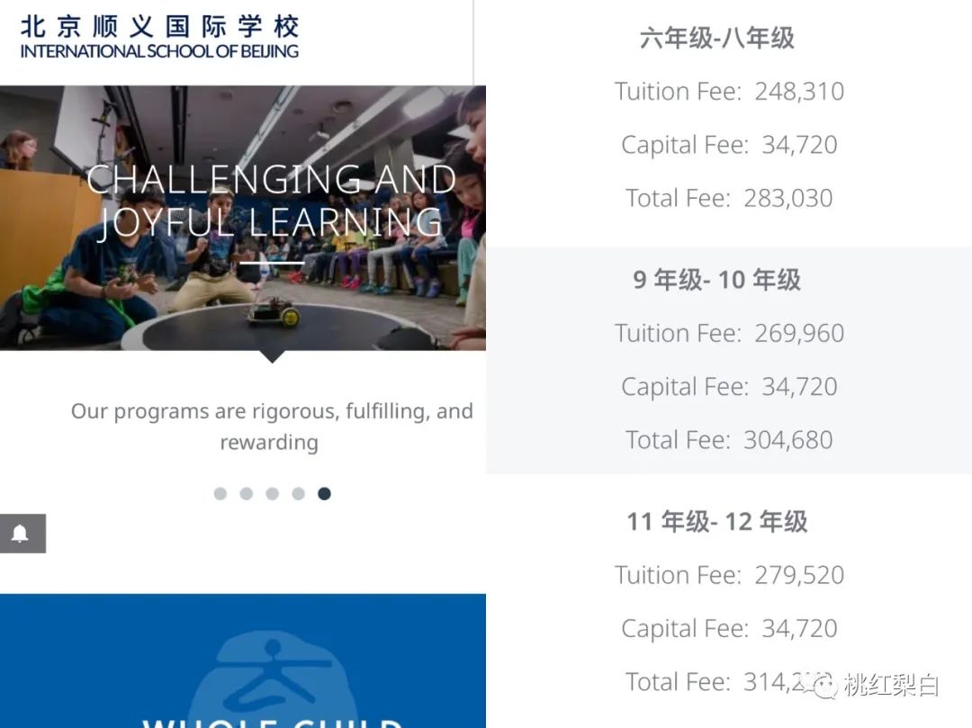 要多少钱才可以培养一个黄多多,培养一个黄多多需要多少钱