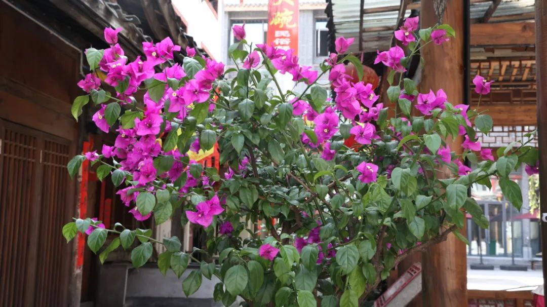 过敏性鼻炎引起反复上呼吸道感染,孩子过敏性鼻炎反复发作怎么办