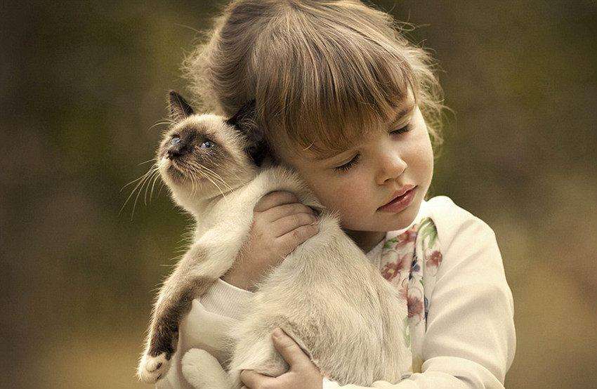 肚脐眼的黑泥到底可不可以抠,人体的秘密全部视频