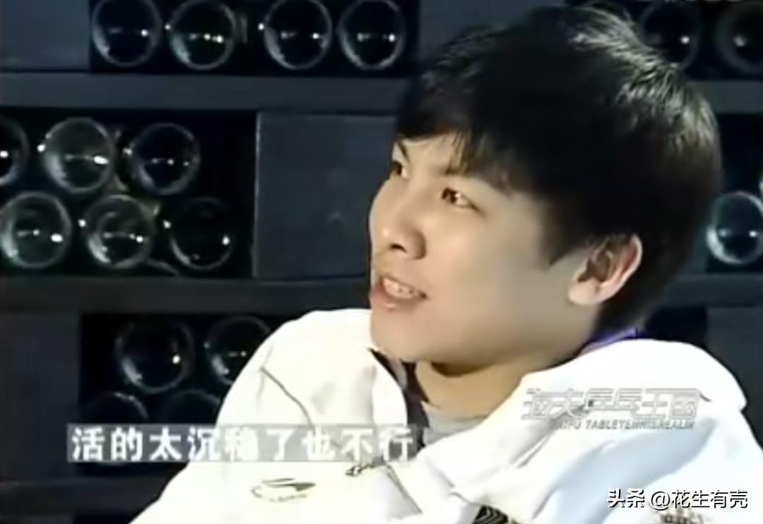 陈玘为什么力挺刘国梁,国乒对杀神陈玘的评价