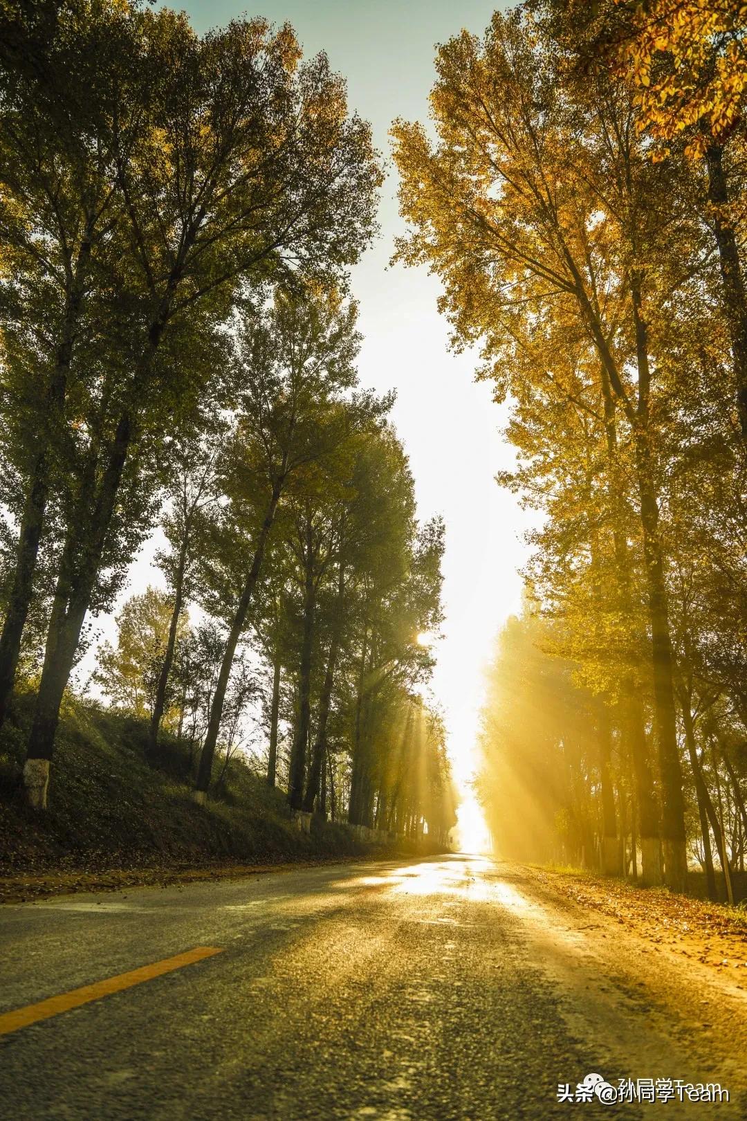 宝藏小众城市榆林,边陲古城榆林
