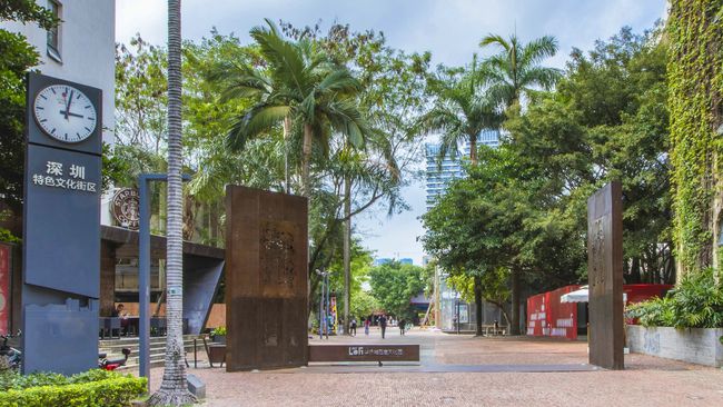 深圳南山真的那么强吗,深圳南山强吗