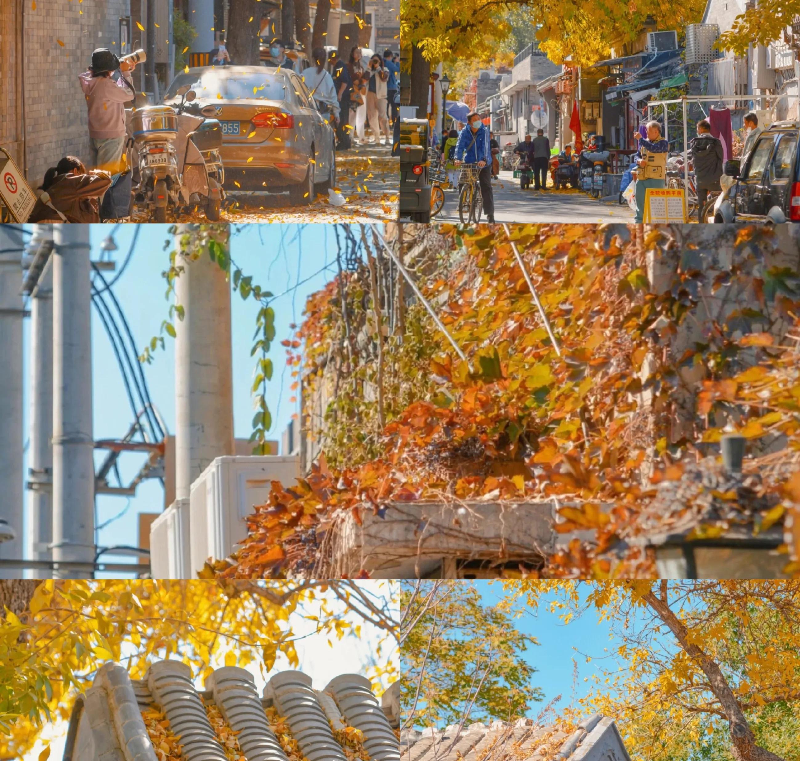 经济生活原理,经济基本原理是什么