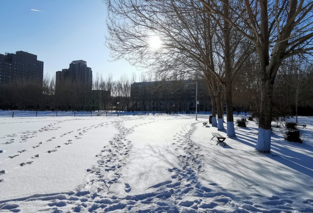 坦克300雪地驾驶用什么模式,坦克300雪地测试