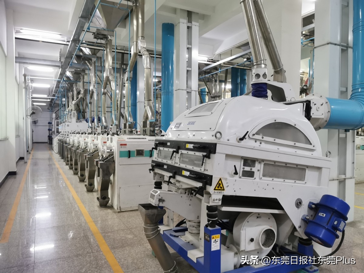 东莞智能制造发展趋势,东莞人工智能制造发展怎样