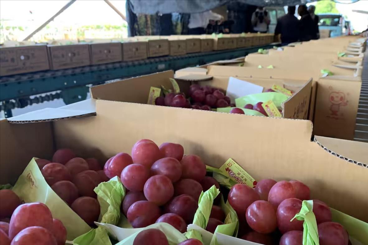 日本“*锁封**”多个水果品种，严防死守禁止流向我国，有什么后果？