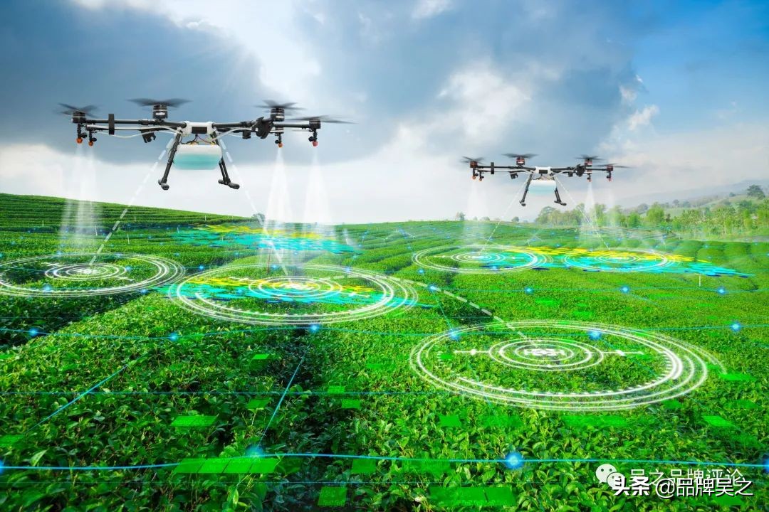 吴之讲区域品牌：对农产品品牌的6条实践理解，参考一下