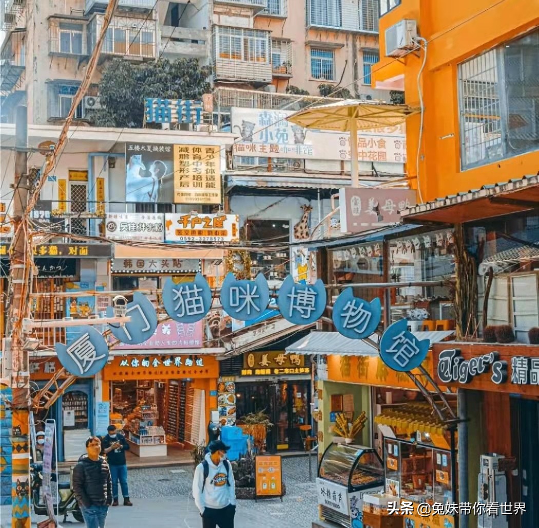 我的2020旅行回顾厦门鼓浪屿,我的厦门之旅完整版