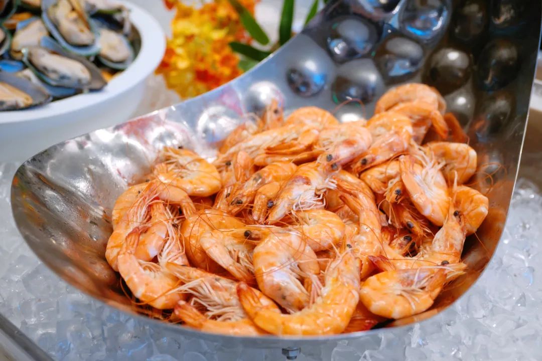 大连旅游住海景房,大连住哪里方便且海景美丽