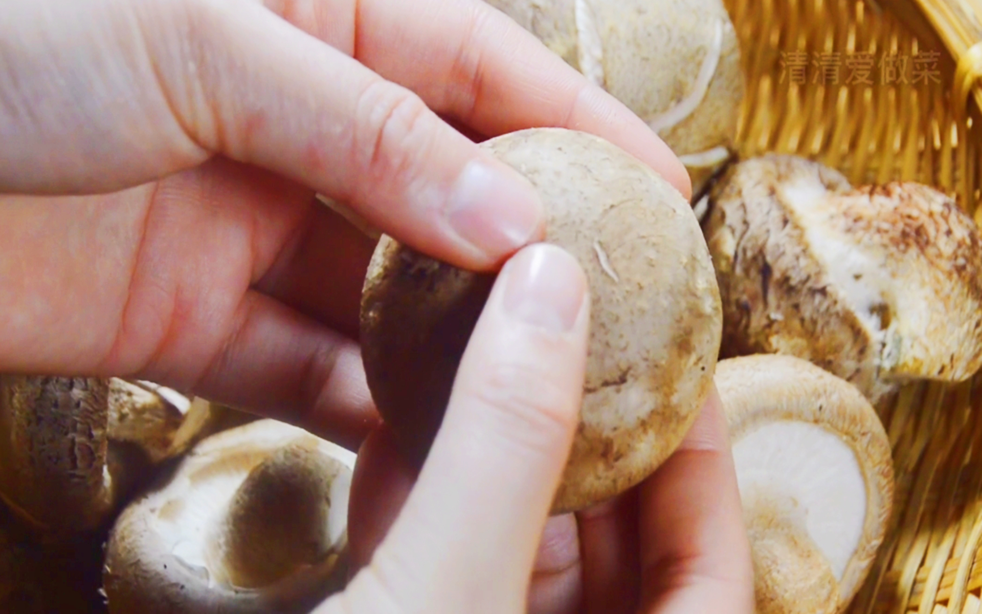 香菇四种不宜买,香菇的三大禁忌