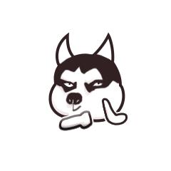 去世的网红二哈,网红二哈不见了