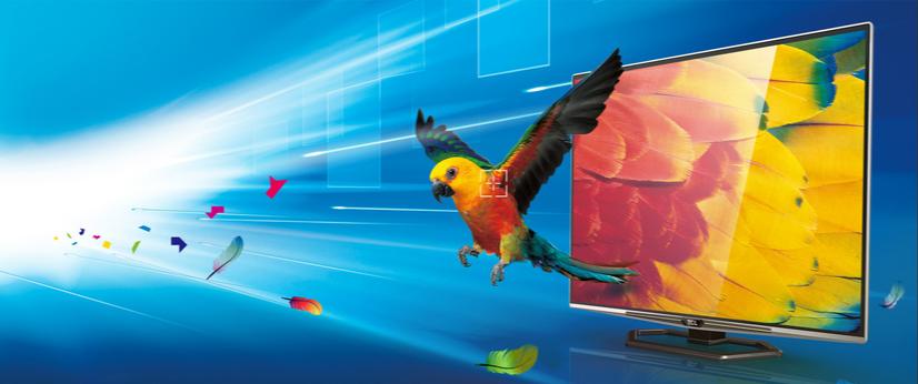 效果广告和程序化广告,计算机广告制作和计算机网络应用