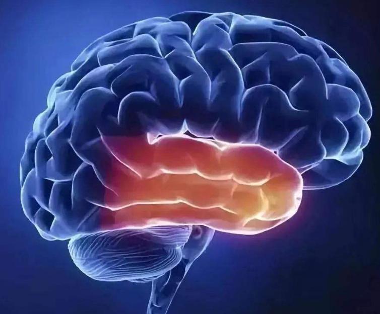 基于“肾虚、湿浊”理论，来探讨多系统萎缩的病机特点及治法