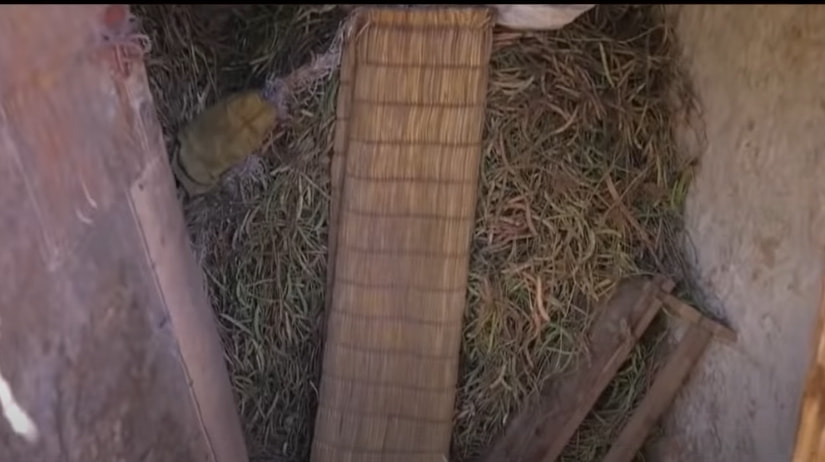 非洲23岁男孩酷似猿猴，不会说话只会叫，是何让他获取粉丝1000万