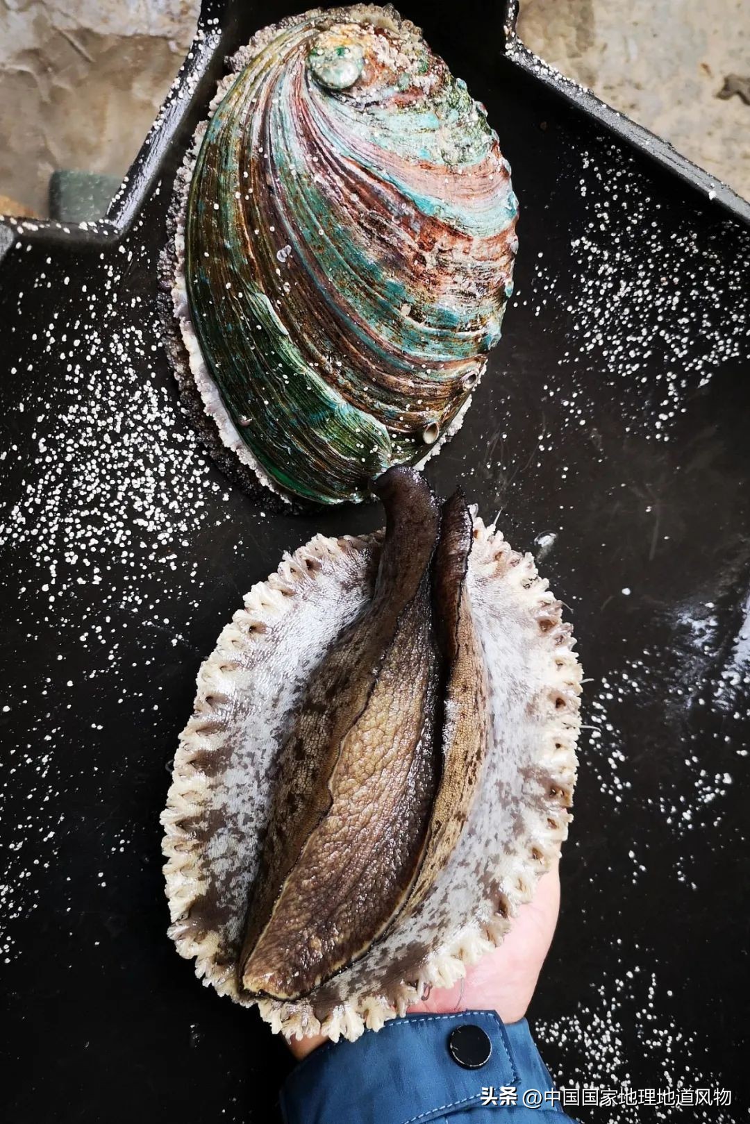 中国人眼中的福州,中国人的美食为什么这么好吃啊